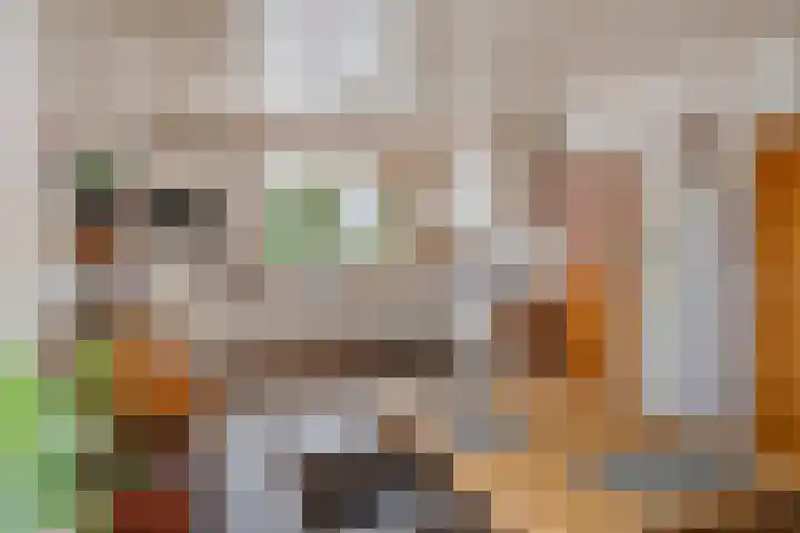Jacob de Ridderstraat 21 Buurmalsen thumbnail 8