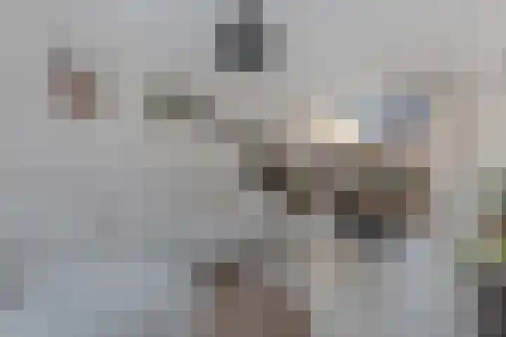 Jacob de Rookstraat 18 Lemmer thumbnail 10