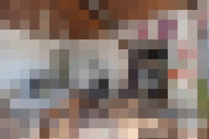 Jacob de Weerdstraat F 68 Nieuwe Pekela thumbnail 28