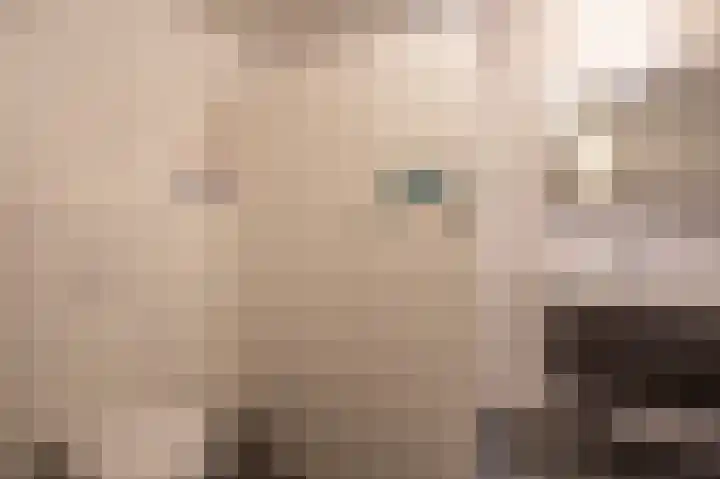 Jacob de Weerdstraat F 68 Nieuwe Pekela thumbnail 36