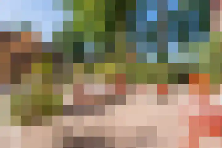 Jacob de Weerdstraat F 68 Nieuwe Pekela thumbnail 44