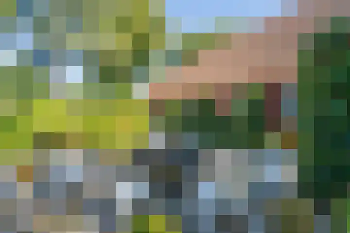 Jacob de Weerdstraat F 68 Nieuwe Pekela thumbnail 49
