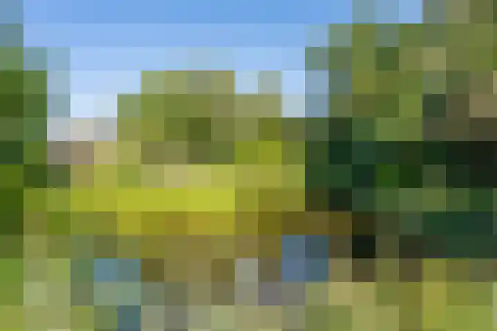 Jacob de Weerdstraat F 68 Nieuwe Pekela thumbnail 69