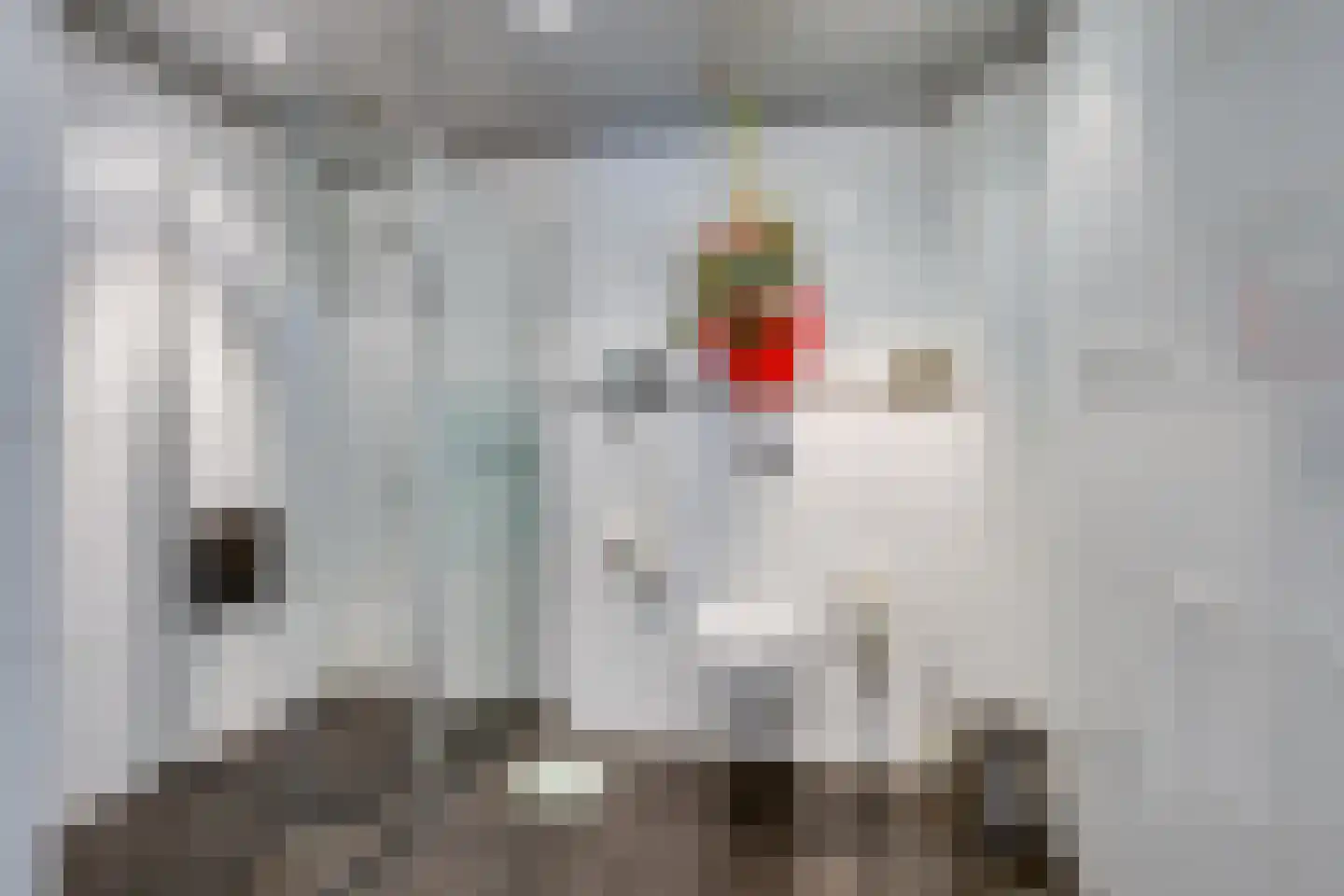Jacob de Wittstraat 1 Sleeuwijk thumbnail 20