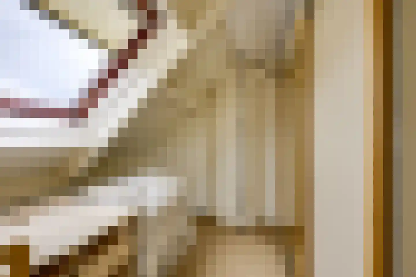 Jacob de Wittstraat 1 Sleeuwijk thumbnail 28