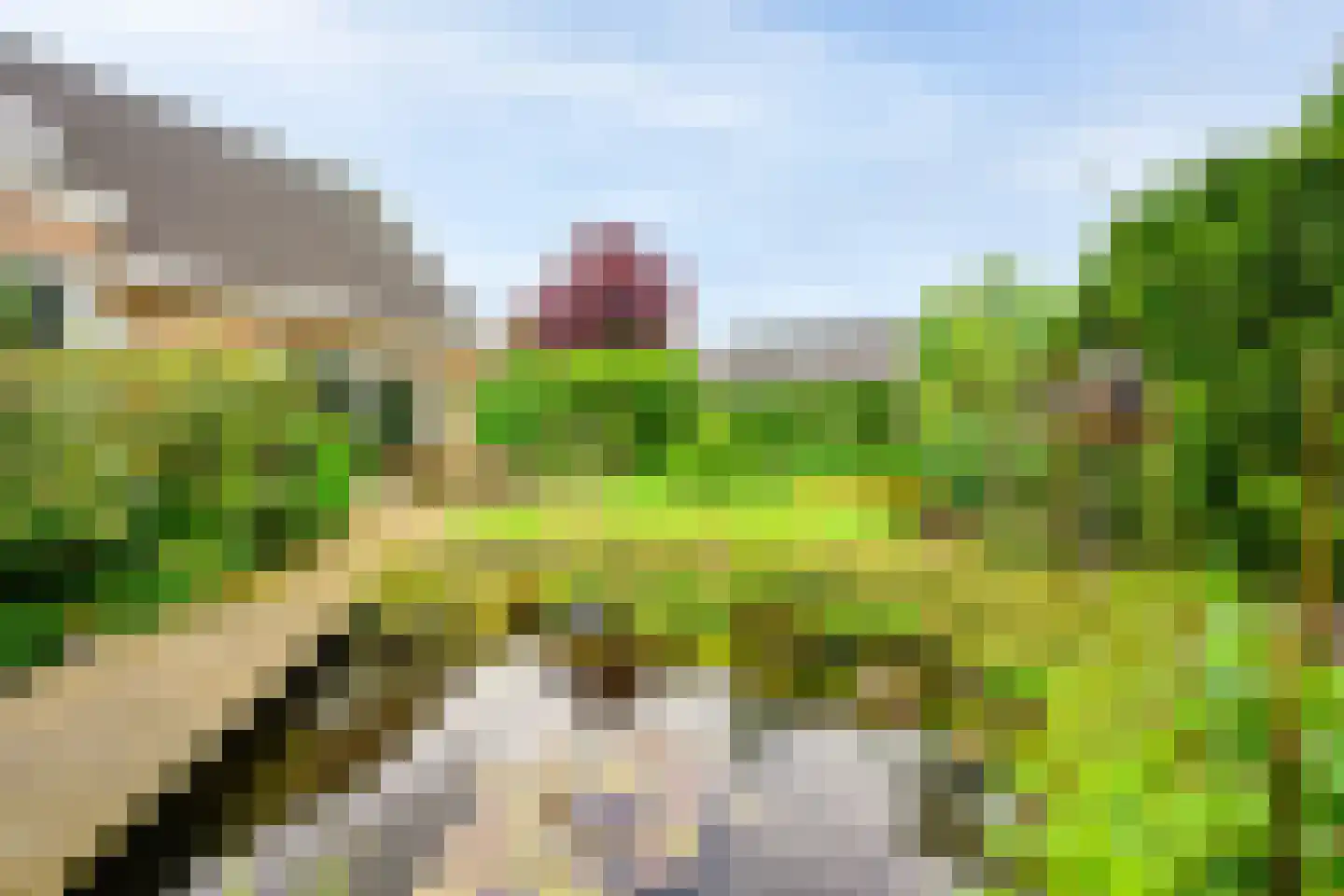 Jacob de Wittstraat 1 Sleeuwijk thumbnail 33