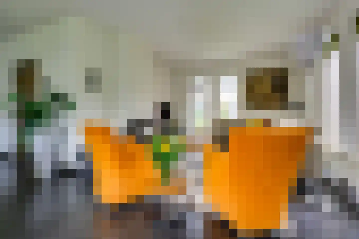 Jacob de Wittstraat 1 Sleeuwijk thumbnail 7