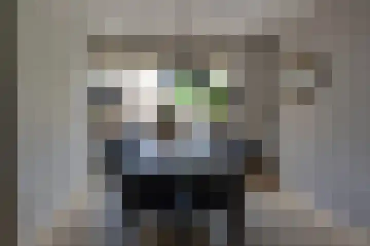 Jacob de Wittstraat 18 Sleeuwijk thumbnail 7