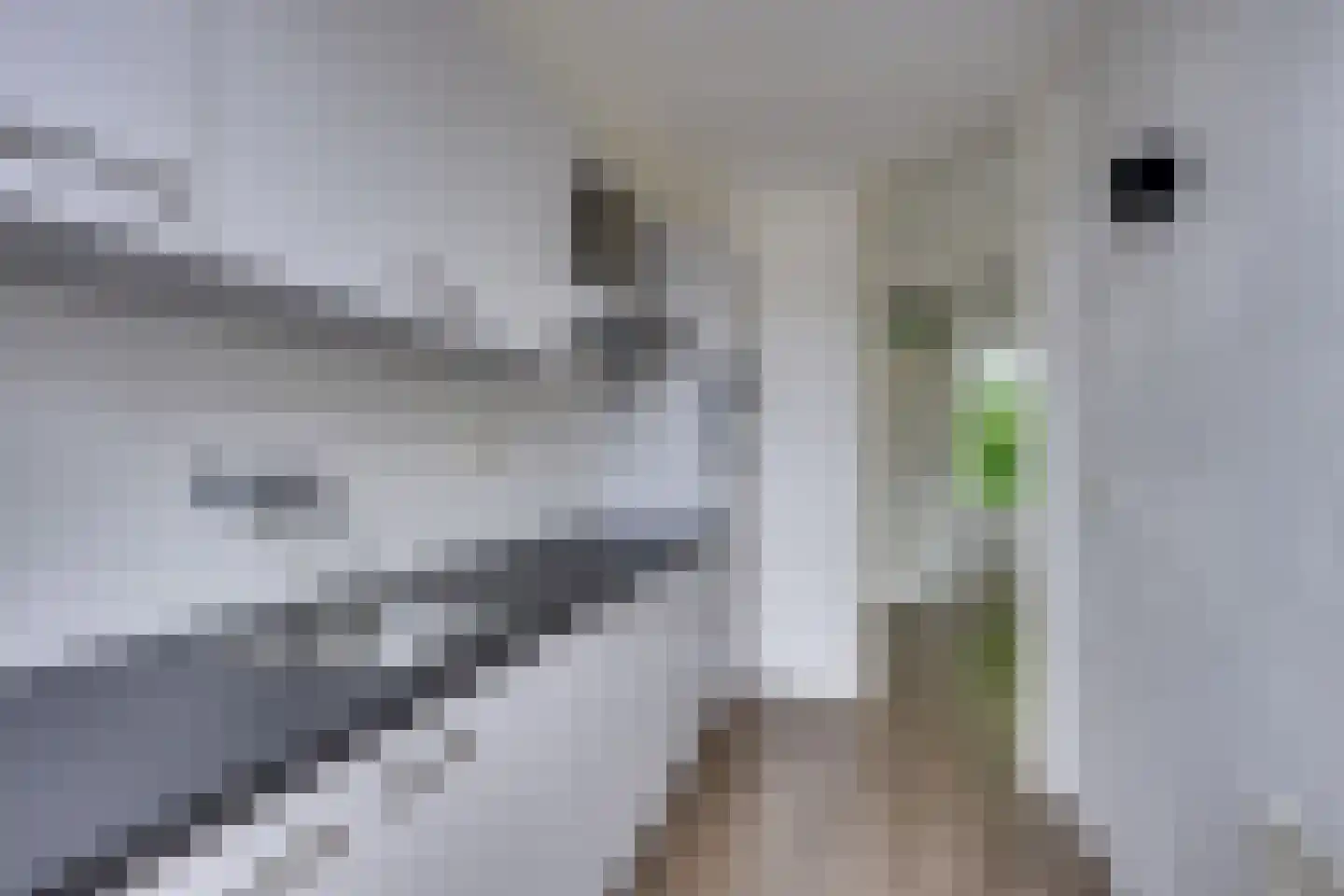 Jacob de Wittstraat 20 Sleeuwijk thumbnail 14