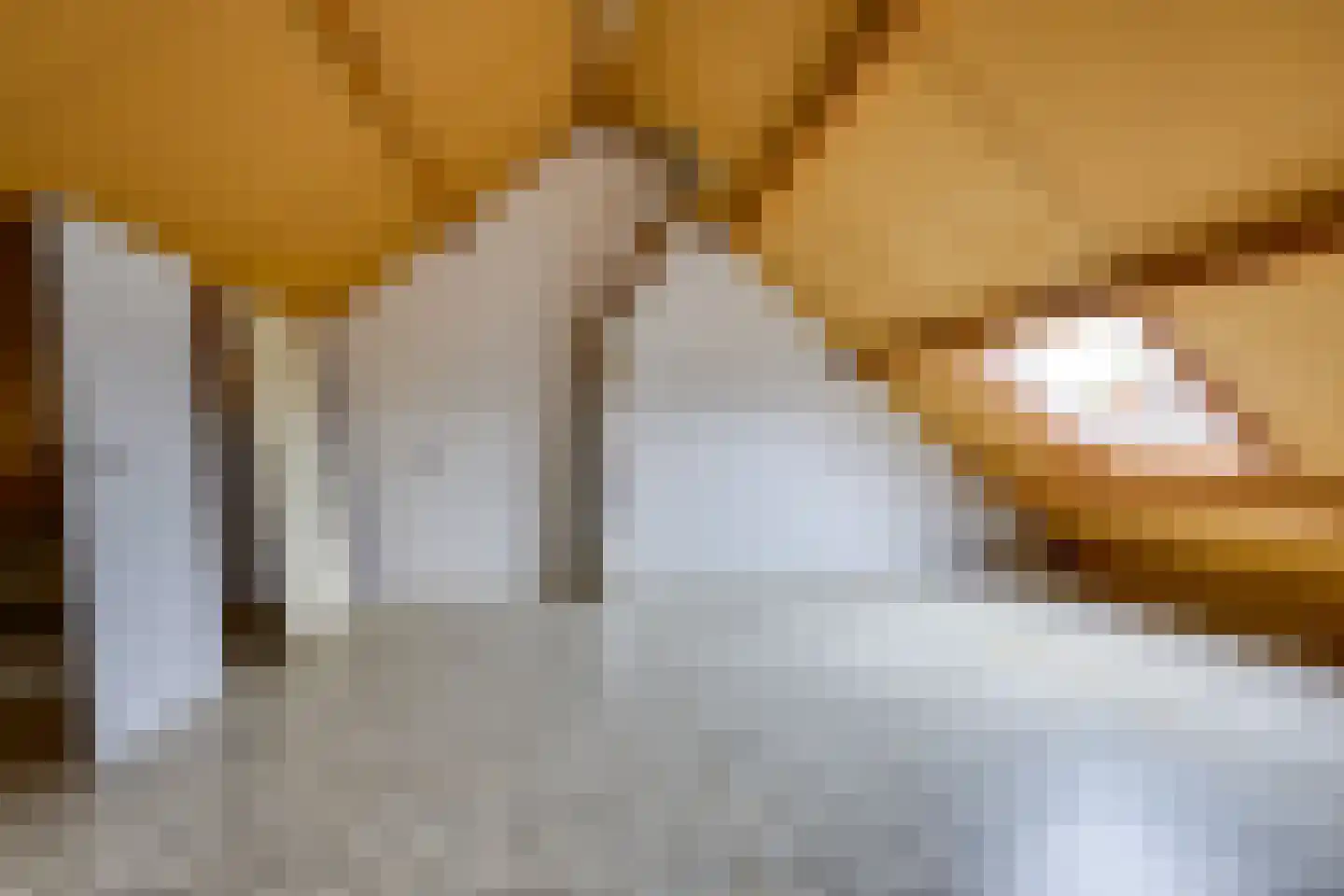 Jacob de Wittstraat 20 Sleeuwijk thumbnail 23
