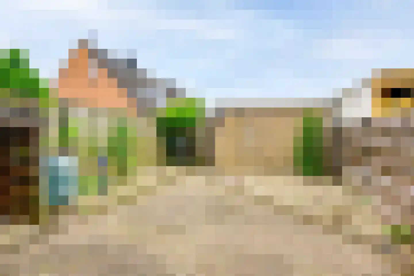 Jacob de Wittstraat 20 Sleeuwijk thumbnail 25