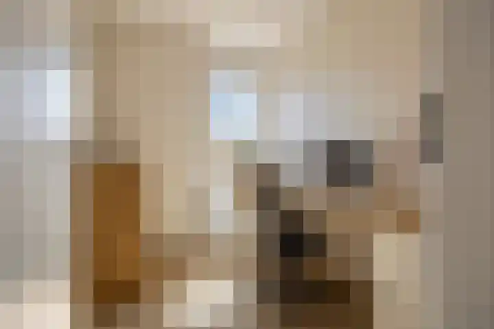 Jacob de Wittstraat 32 Sleeuwijk thumbnail 25