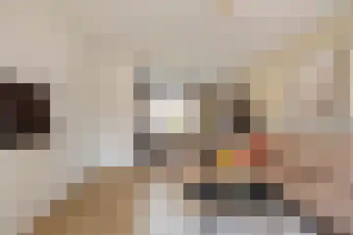 Jacob de Wittstraat 32 Sleeuwijk thumbnail 7