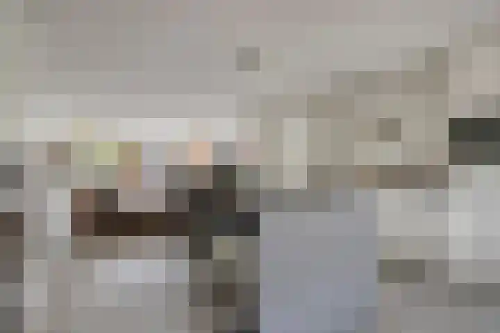 Jacob Frankaertweg 2 Eindhoven thumbnail 12