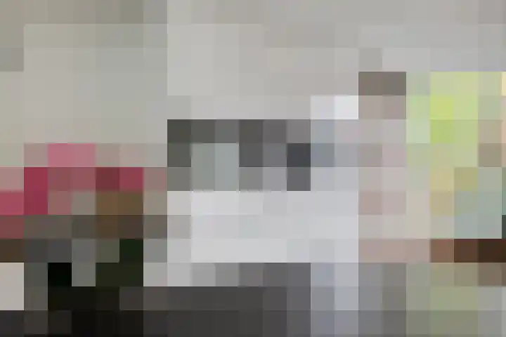 Jacob Frankaertweg 2 Eindhoven thumbnail 13