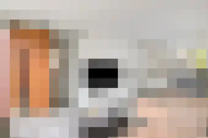 Jacob Frankaertweg 2 Eindhoven thumbnail 21