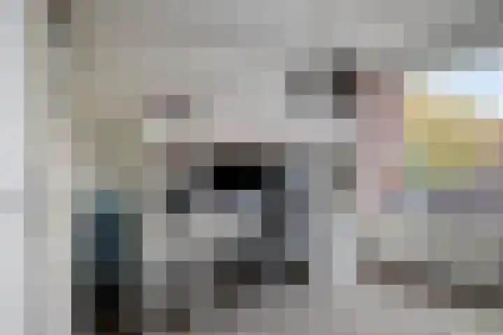 Jacob Frankaertweg 2 Eindhoven thumbnail 27