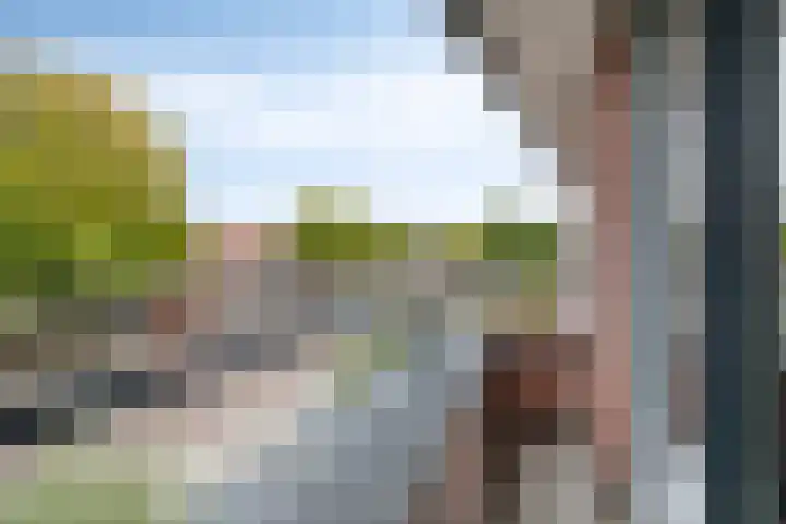 Jacob Frankaertweg 2 Eindhoven thumbnail 29