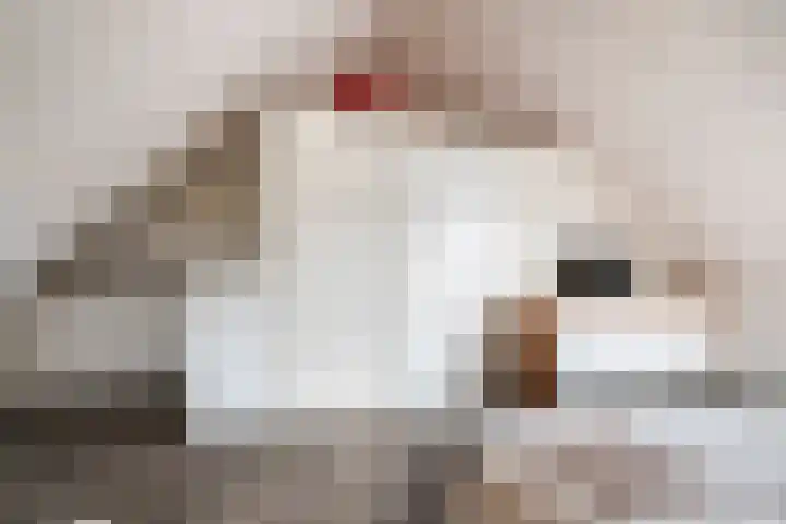 Jacob Frankaertweg 2 Eindhoven thumbnail 32