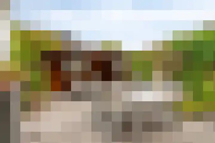 Jacob Frankaertweg 2 Eindhoven thumbnail 34