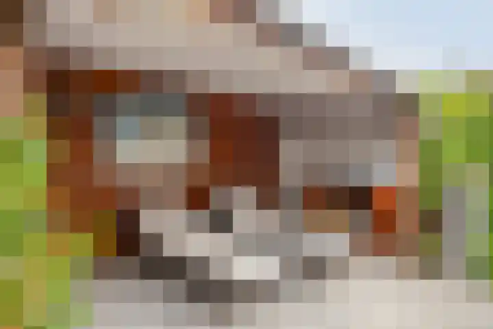 Jacob Frankaertweg 2 Eindhoven thumbnail 35