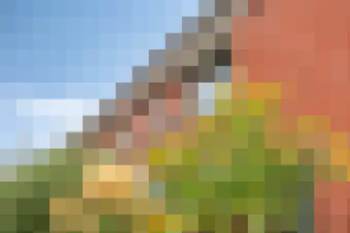 Jacob Frankaertweg 2 Eindhoven thumbnail 5