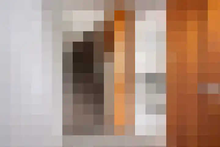 Jacob Frankaertweg 2 Eindhoven thumbnail 7