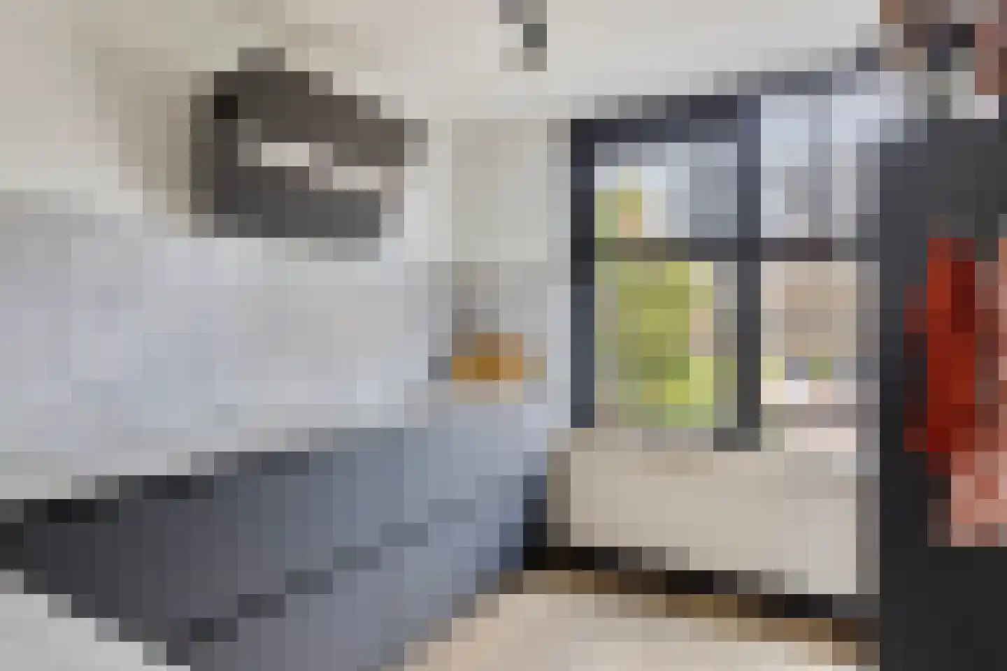 Jacob Frankaertweg 6 Eindhoven thumbnail 12