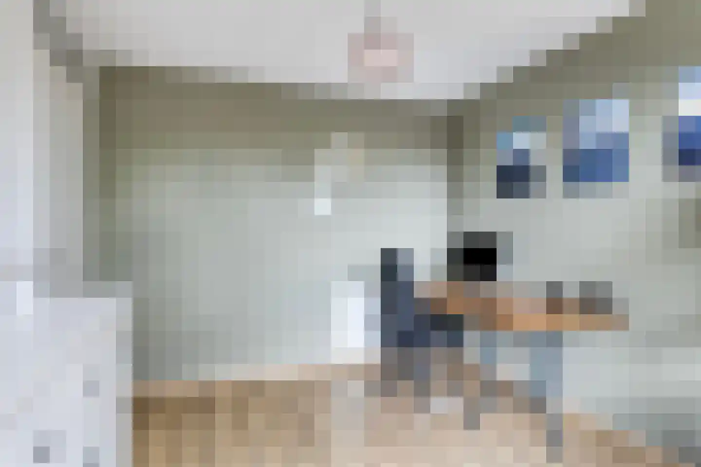 Jacob Frankaertweg 6 Eindhoven thumbnail 20