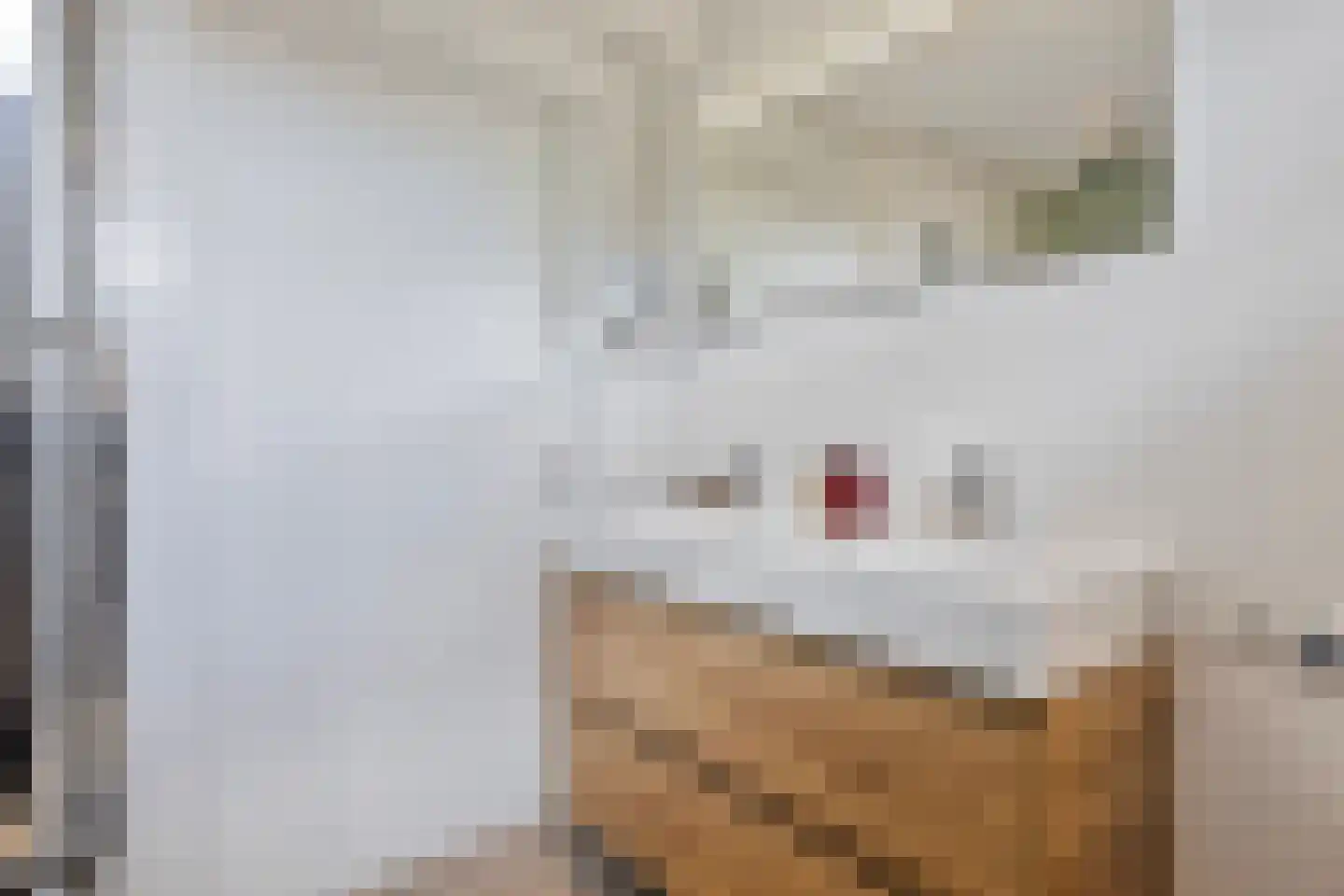 Jacob Frankaertweg 6 Eindhoven thumbnail 24