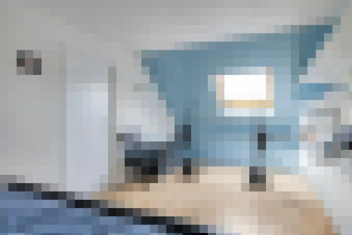 Jacob Frankaertweg 6 Eindhoven thumbnail 28