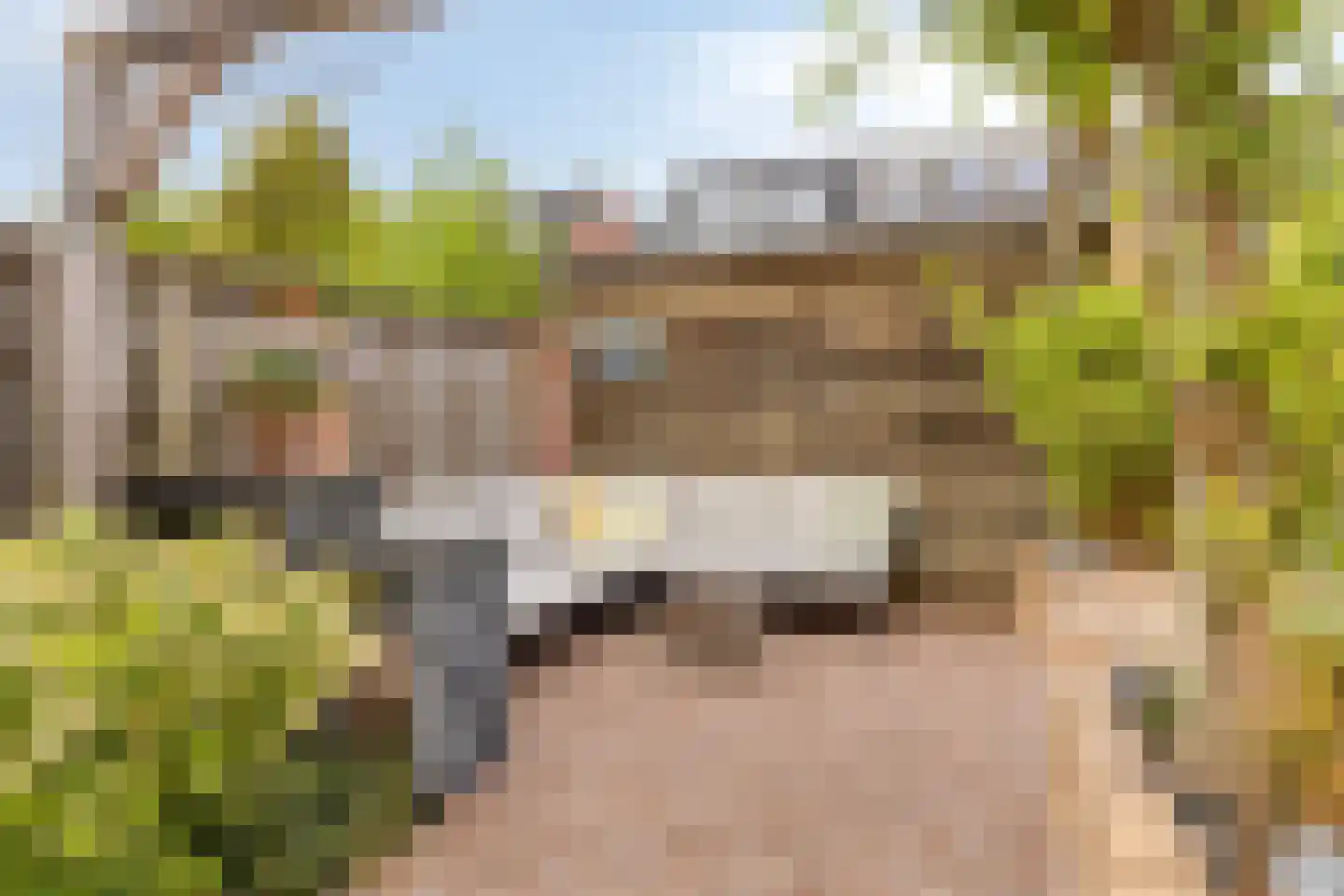 Jacob Frankaertweg 6 Eindhoven thumbnail 30