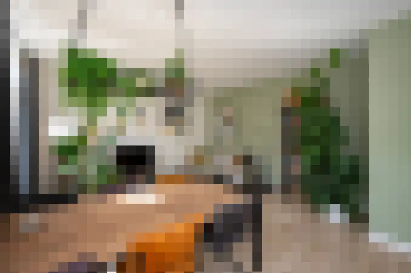 Jacob Geelstraat 2 BS Utrecht thumbnail 15