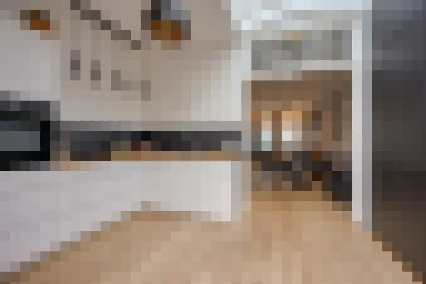 Jacob Geelstraat 22 Utrecht thumbnail 18