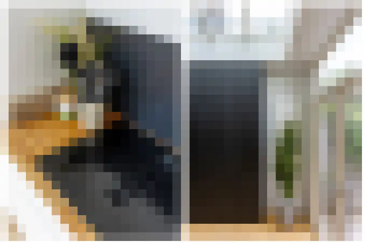 Jacob Geelstraat 22 Utrecht thumbnail 19