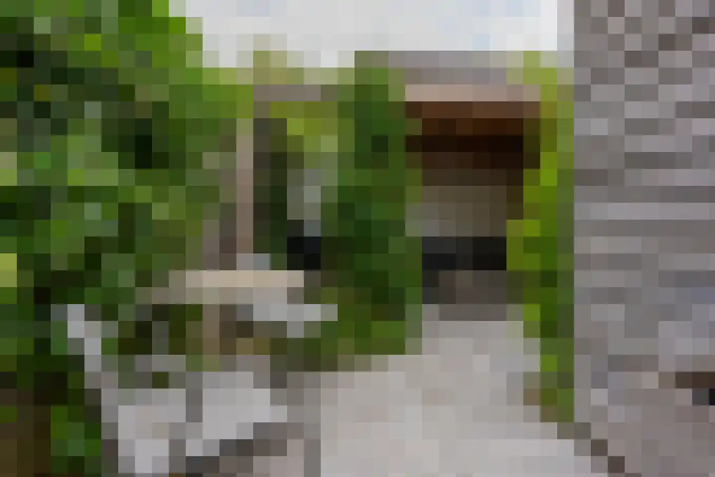 Jacob Geelstraat 22 Utrecht thumbnail 20