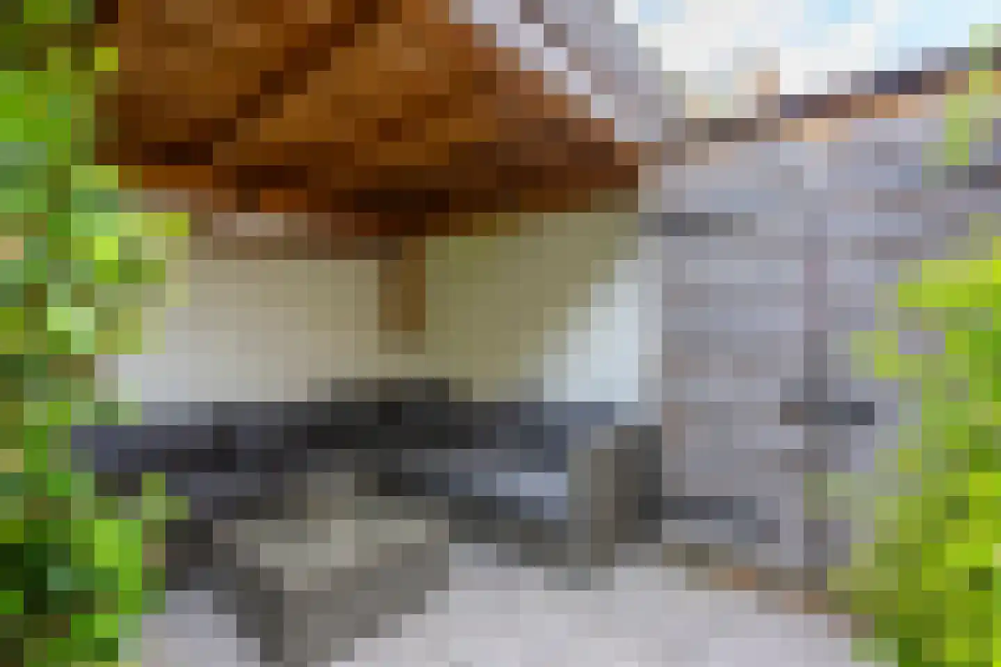 Jacob Geelstraat 22 Utrecht thumbnail 21