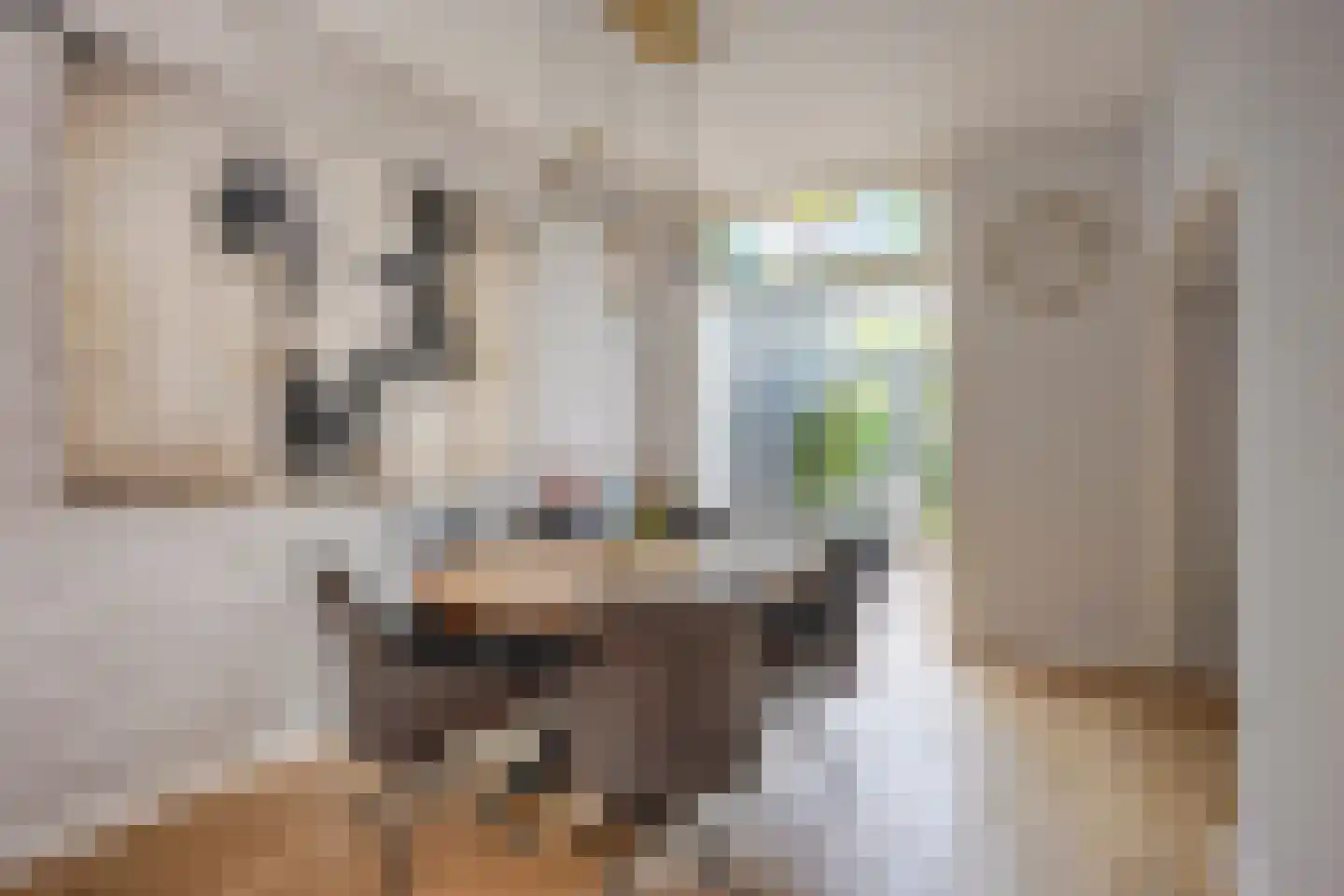 Jacob Geelstraat 22 Utrecht thumbnail 8
