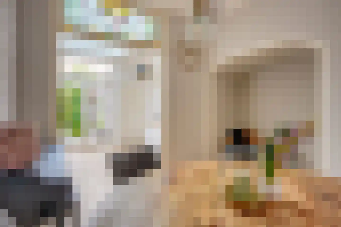 Jacob Geelstraat 22 Utrecht thumbnail 9