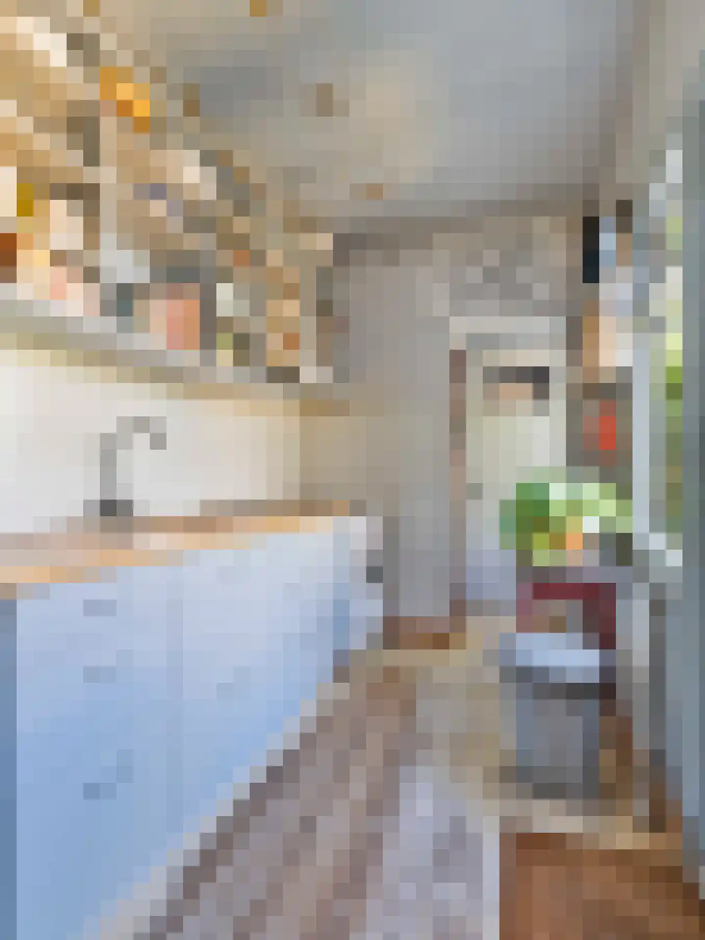 Jacob Geelstraat 24 Utrecht thumbnail 12
