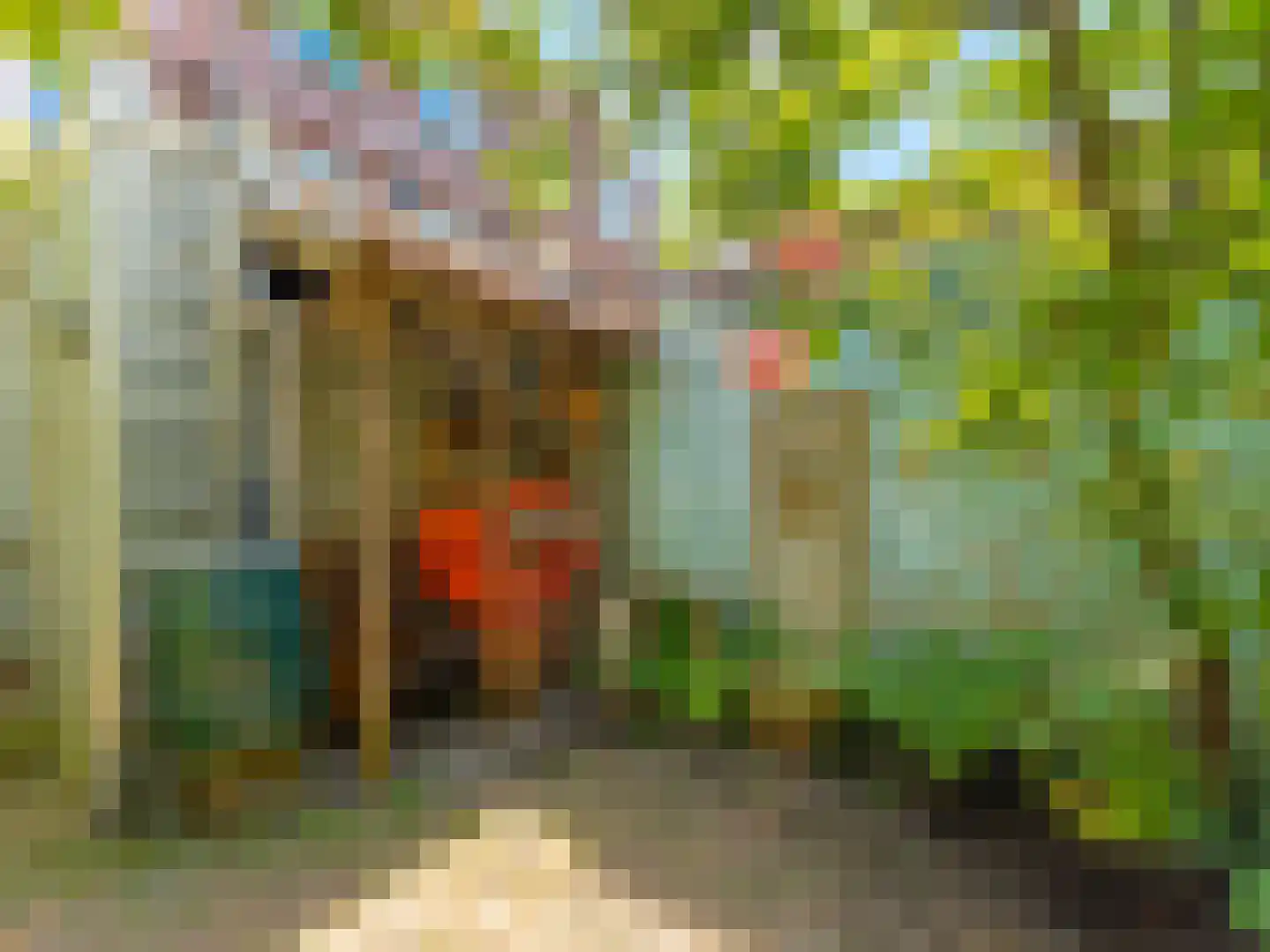 Jacob Geelstraat 24 Utrecht thumbnail 16