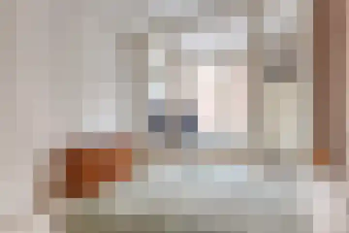 Jacob Gillesstraat 24 Den Haag thumbnail 18
