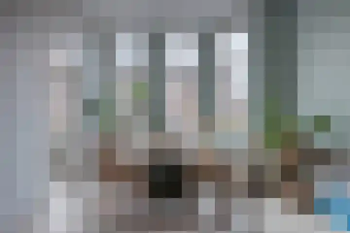 Jacob Gillesstraat 24 Den Haag thumbnail 5