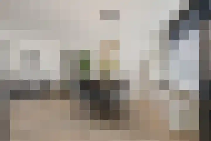 Jacob Giltjesstraat 7 Den Helder thumbnail 10