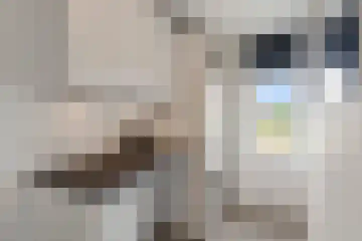 Jacob Giltjesstraat 7 Den Helder thumbnail 20