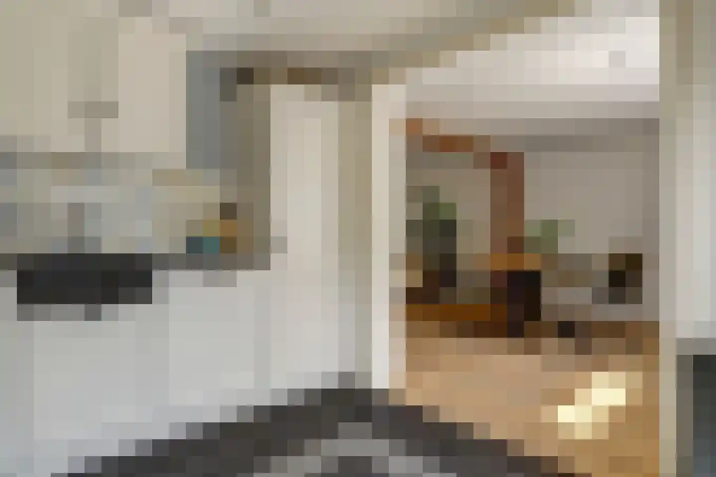 Jacob Glasstraat 6 Egmond aan Zee thumbnail 11
