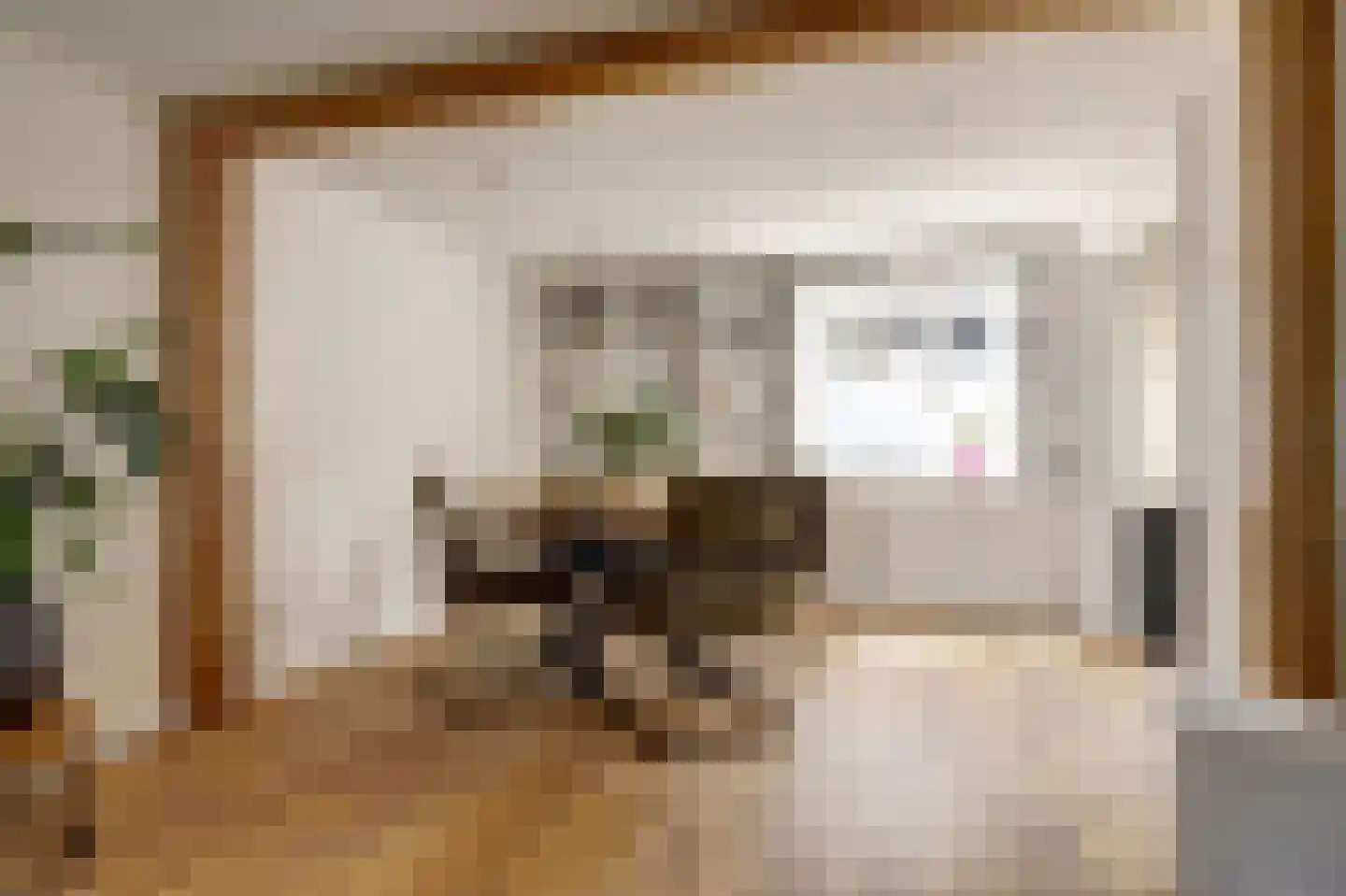 Jacob Glasstraat 6 Egmond aan Zee thumbnail 9