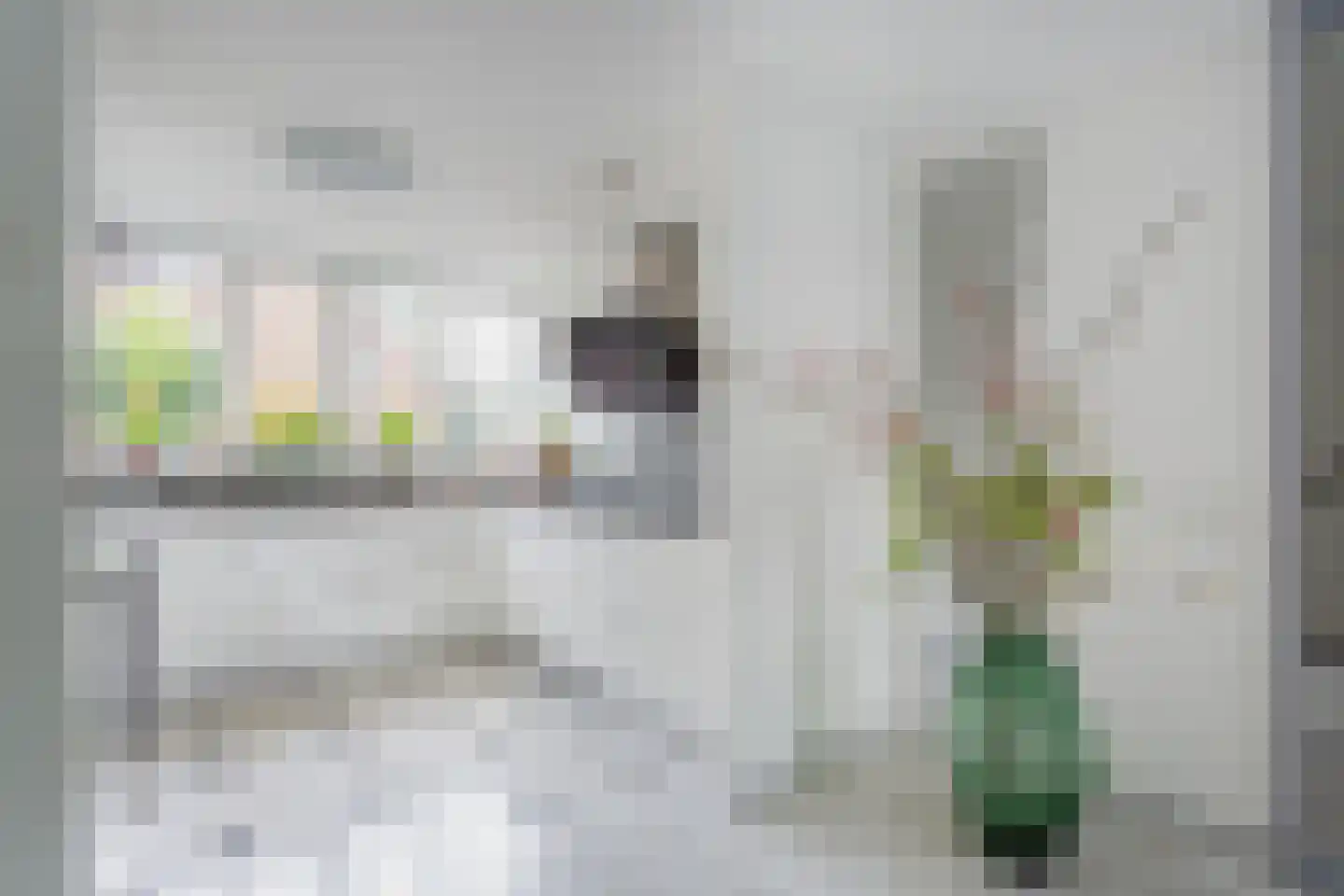 Jacob Groenplantsoen 1 Amsterdam thumbnail 12