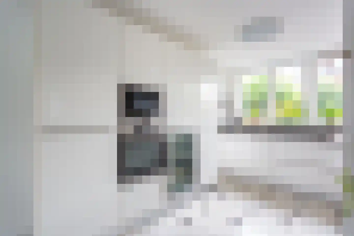Jacob Groenplantsoen 1 Amsterdam thumbnail 13