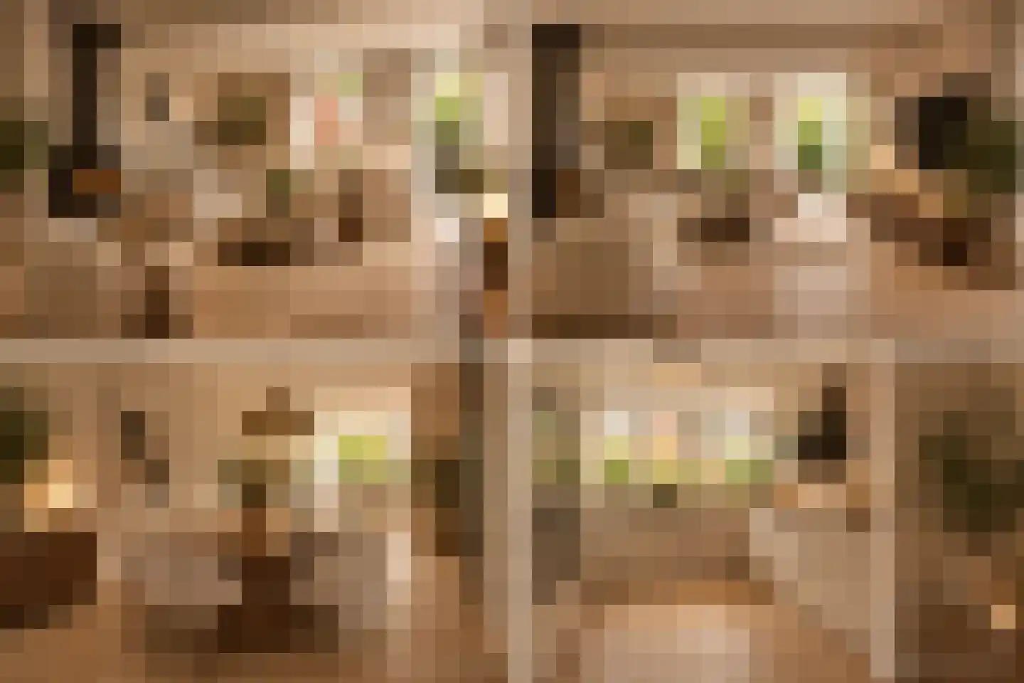 Jacob Groenplantsoen 1 Amsterdam thumbnail 19